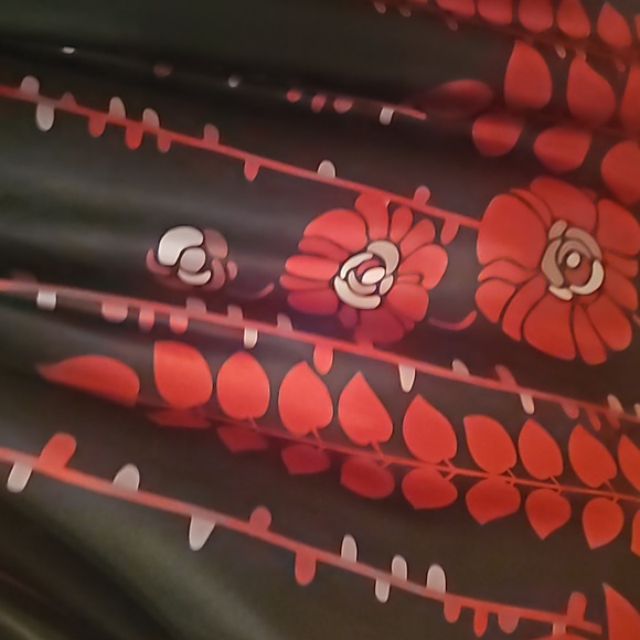 Black with red floral skirt 16w - Beautiful - Picture 2 of 5